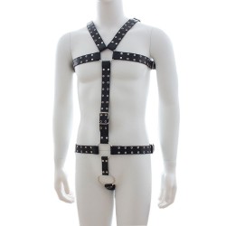 band belt chest waist full body harness straps