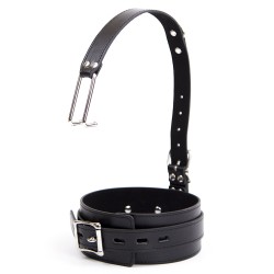 bondage-collar-with-nose-hook.jpg